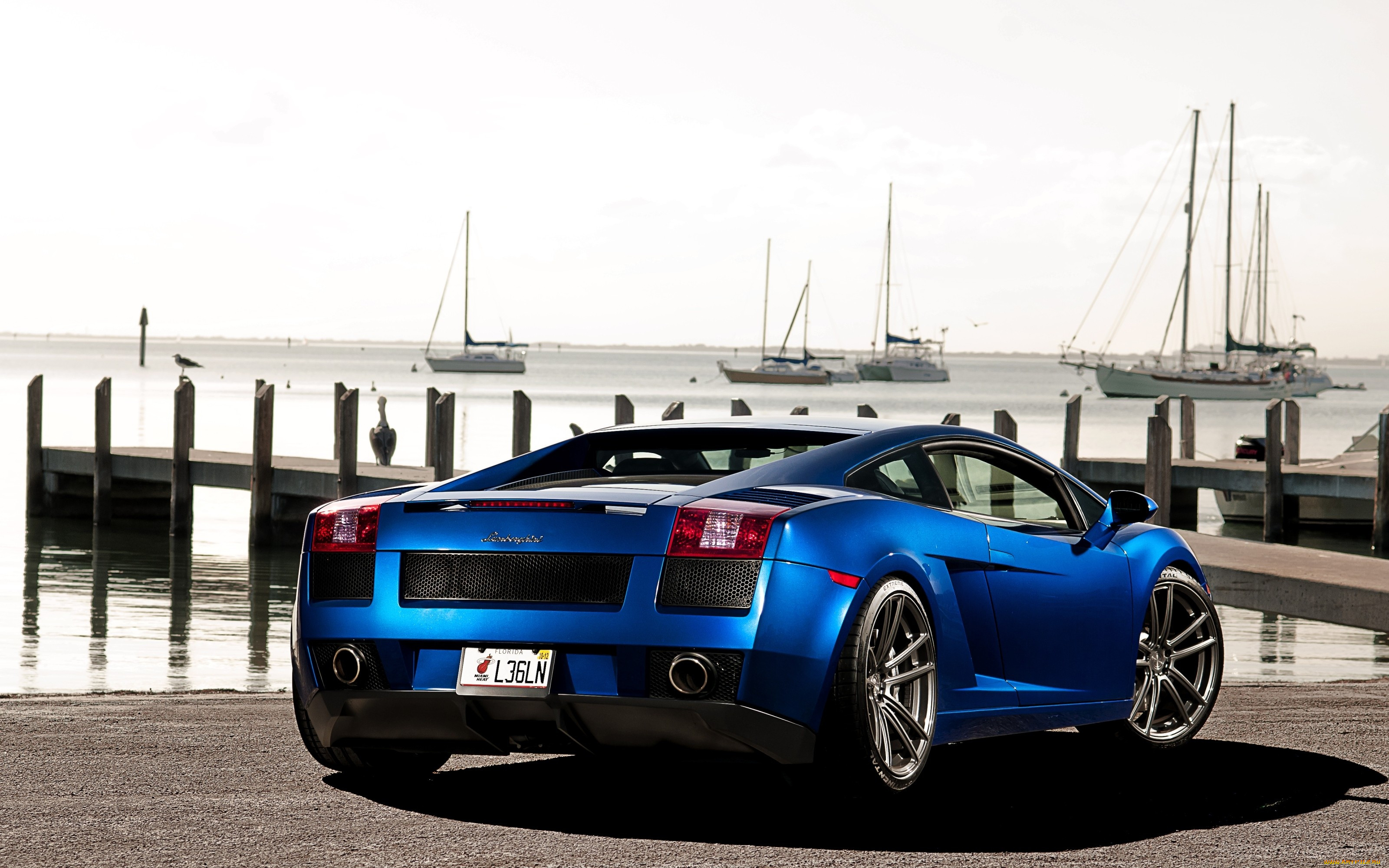 lamborgini, gallardo, , lamborghini, , , , 